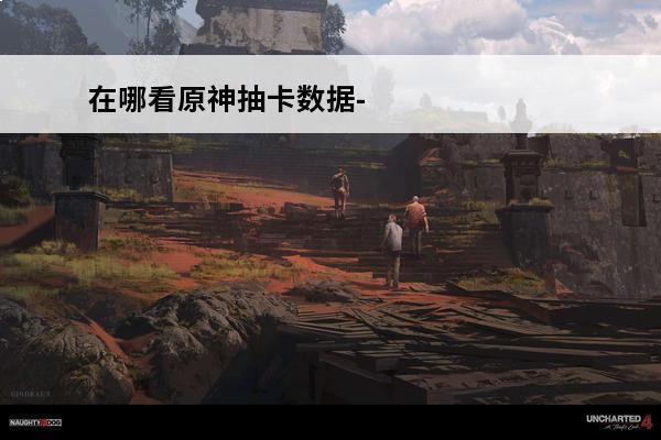 在哪看原神抽卡数据-原神怎么查看抽卡数据(原神抽卡数据统计在哪看)