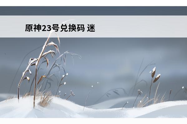 原神23号兑换码 迷