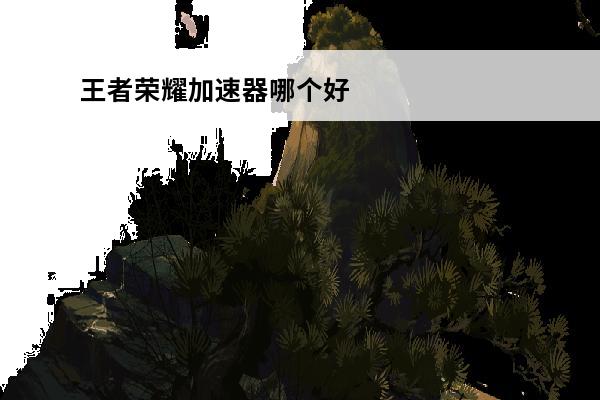 王者荣耀加速器哪个好