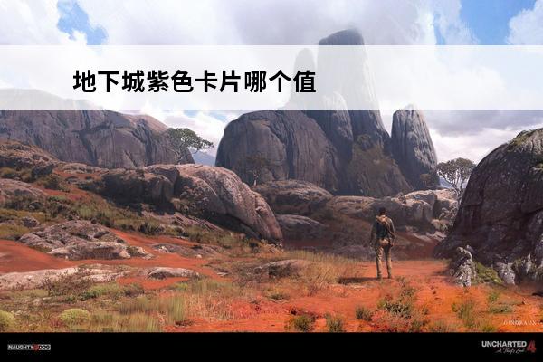 地下城紫色卡片哪个值