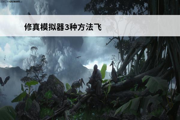 修真模拟器3种方法飞