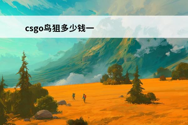 csgo鸟狙多少钱一