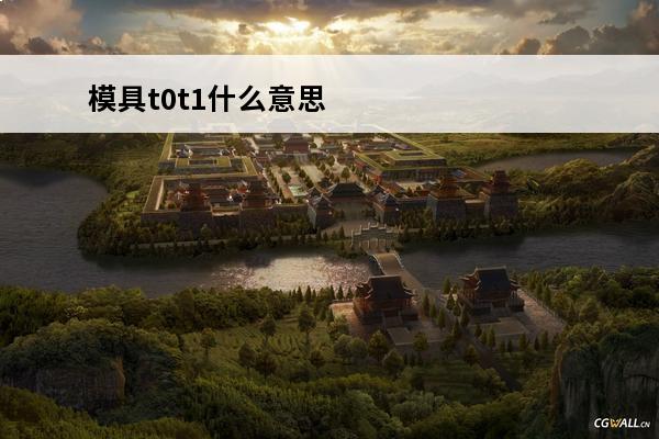 模具t0t1什么意思(t0t1级别)