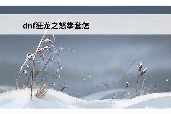 dnf狂龙之怒拳套怎么样(狂龙之怒怎么样)