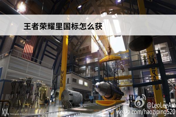 王者荣耀里国标怎么获