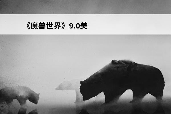《魔兽世界》9.0美