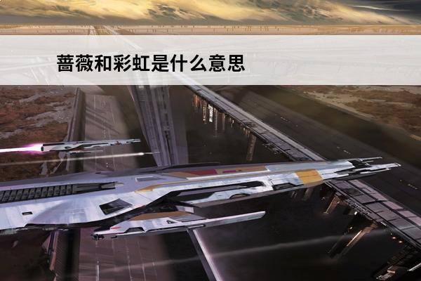 蔷薇和彩虹是什么意思 彩虹是什么意思？