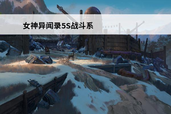女神异闻录5S战斗系