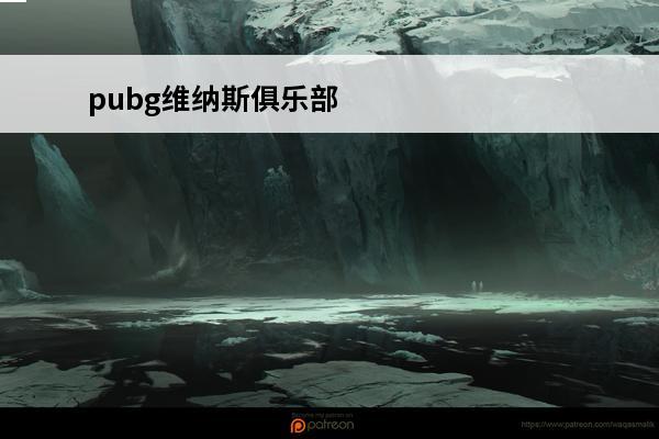 pubg维纳斯俱乐部