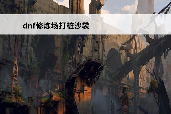 dnf修炼场打桩沙袋怎么设置(dnf修炼场都怎么设置的)