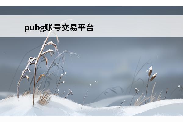 pubg账号交易平台