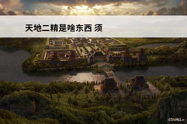 天地二精是啥东西 须