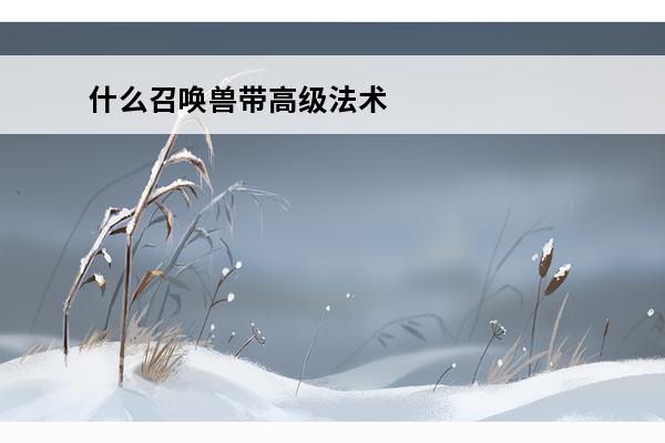 什么召唤兽带高级法术波动 法术波动和高级法术波动区别(高级法术波动和低级法术波动)