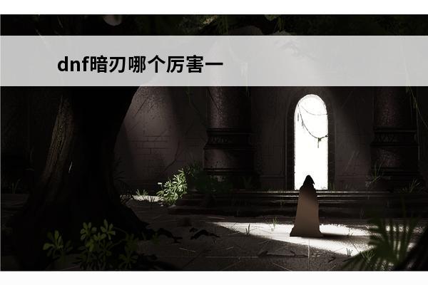 dnf暗刃哪个厉害一