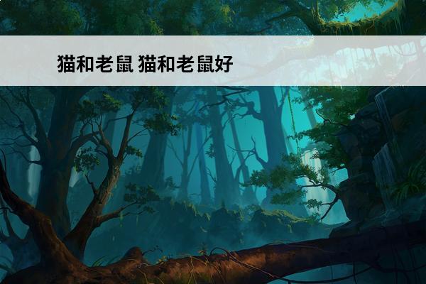 猫和老鼠 猫和老鼠好