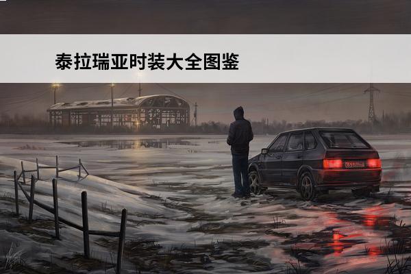 泰拉瑞亚时装大全图鉴
