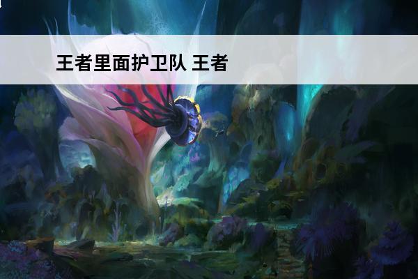 王者里面护卫队 王者
