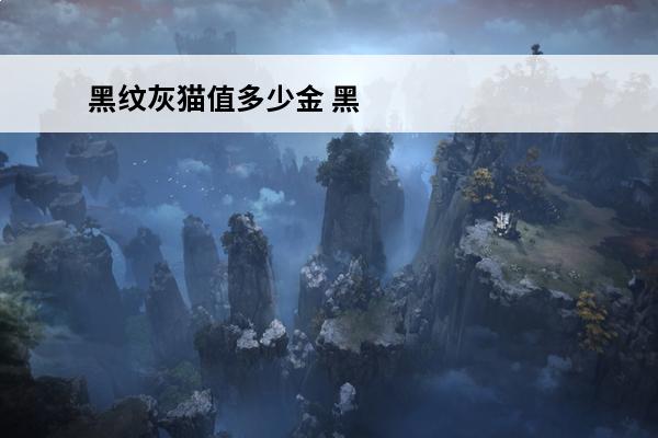 黑纹灰猫值多少金 黑