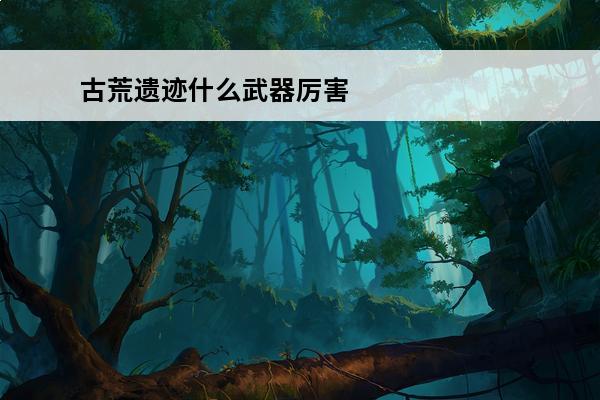 古荒遗迹什么武器厉害