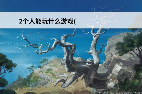 2个人能玩什么游戏(