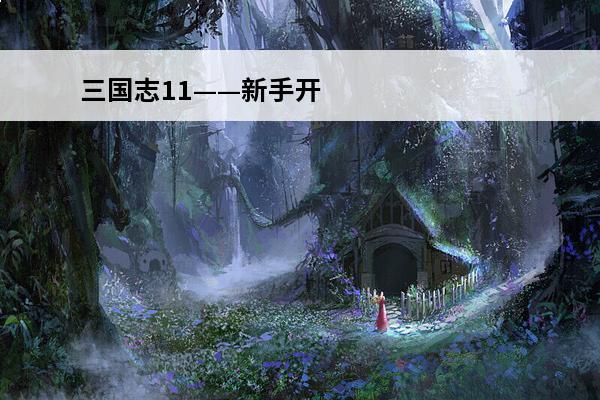 三国志11——新手开