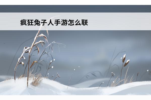 疯狂兔子人手游怎么联