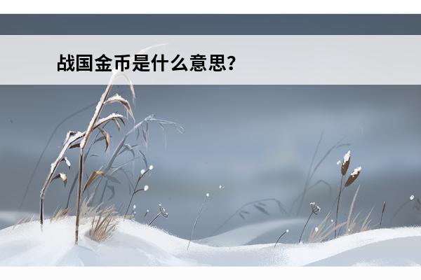 战国金币是什么意思？(战国金币)