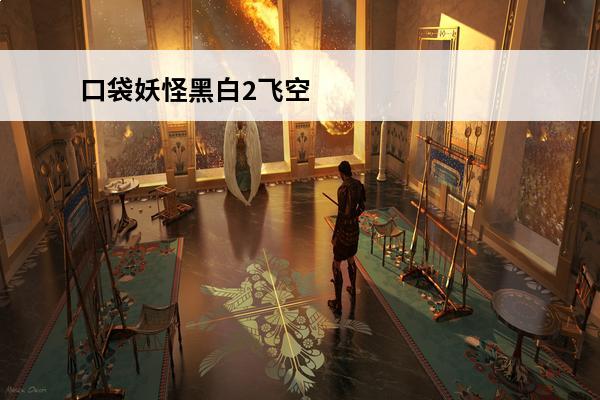 口袋妖怪黑白2飞空 口袋妖怪黑白2（口袋妖怪黑白2游戏攻略）