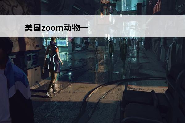 美国zoom动物一 