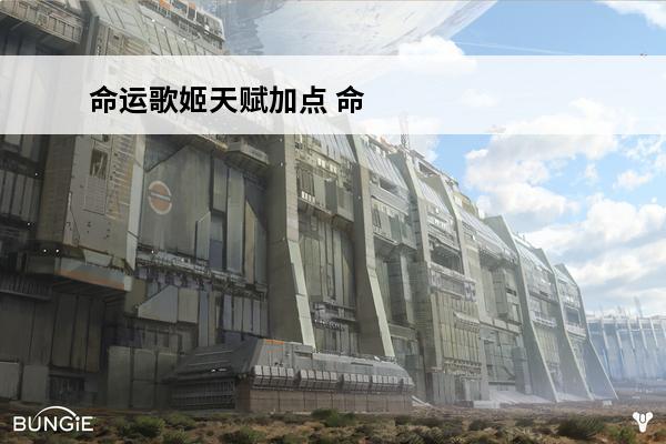 命运歌姬天赋加点 命
