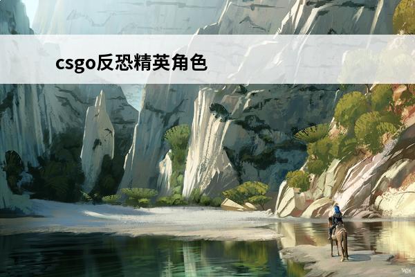 csgo反恐精英角色