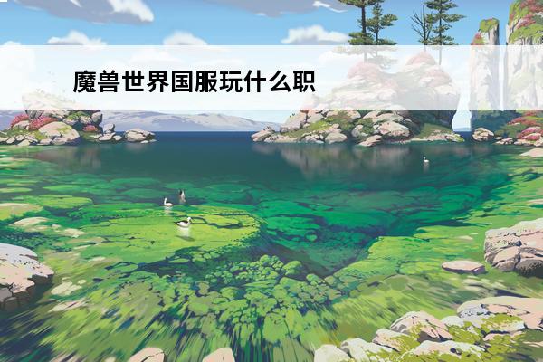 魔兽世界国服玩什么职业 魔兽正式服玩什么职业比较好