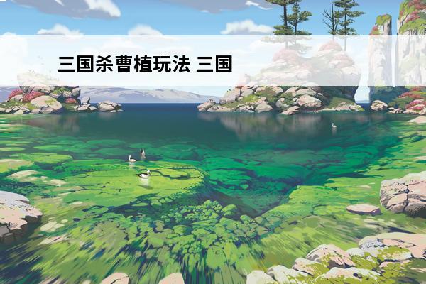 三国杀曹植玩法 三国