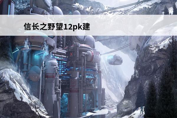 信长之野望12pk建