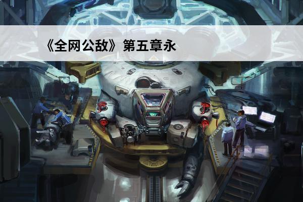 《全网公敌》第五章永