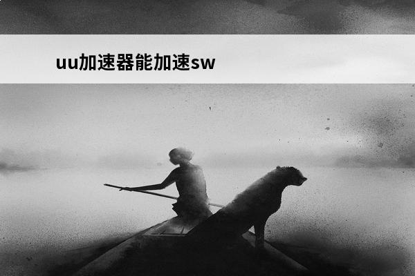 uu加速器能加速switch吗？(能加速海外游戏的加速器)