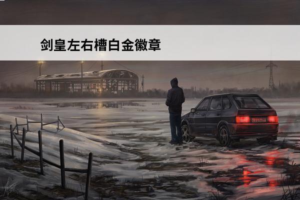 剑皇左右槽白金徽章 