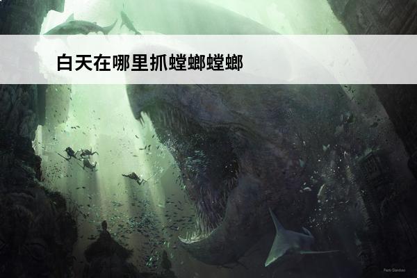 白天在哪里抓螳螂螳螂