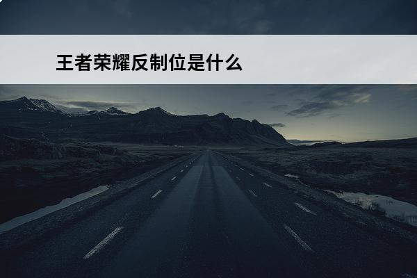 王者荣耀反制位是什么
