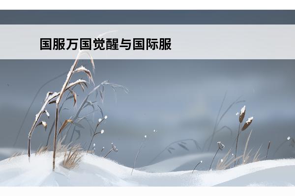 国服万国觉醒与国际服