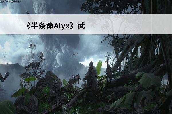 《半条命Alyx》武