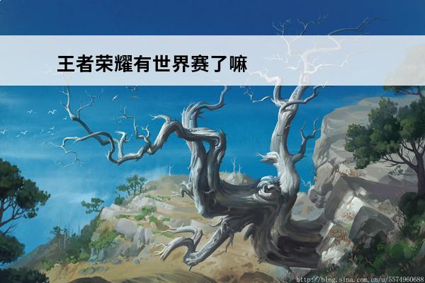 王者荣耀有世界赛了嘛