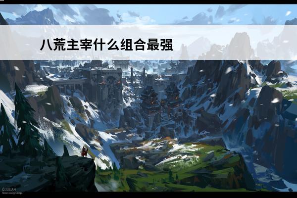 八荒主宰什么组合最强