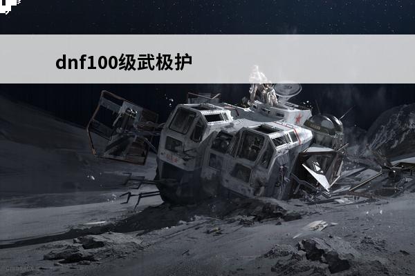 dnf100级武极护