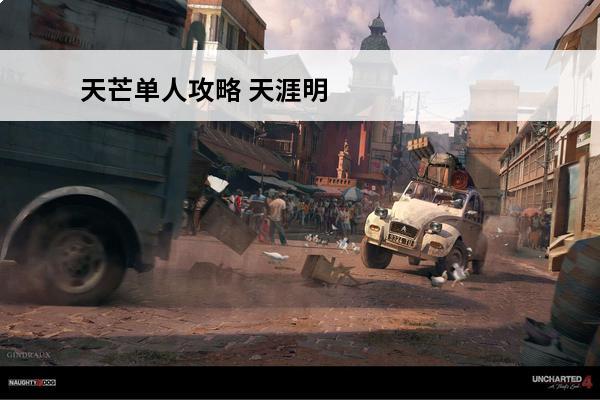 天芒单人攻略 天涯明