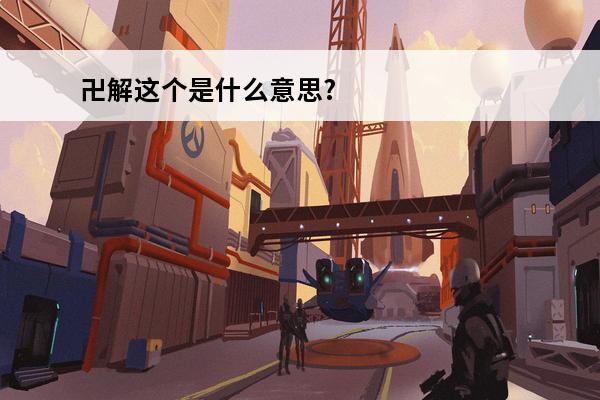 卍解这个是什么意思?