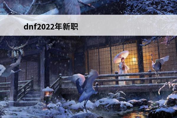 dnf2022年新职