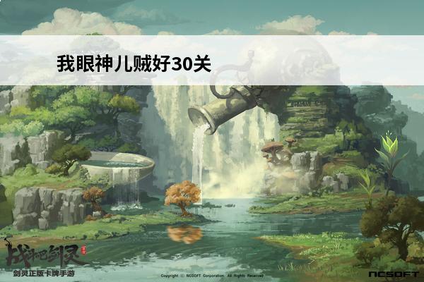 我眼神儿贼好30关 