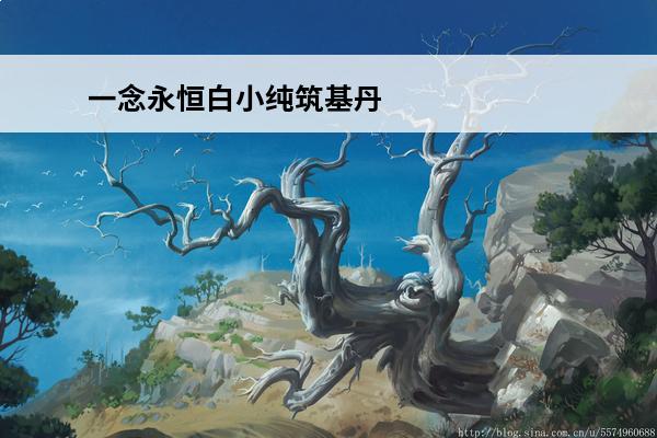 一念永恒白小纯筑基丹