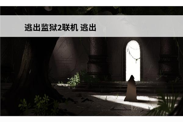逃出监狱2联机 逃出